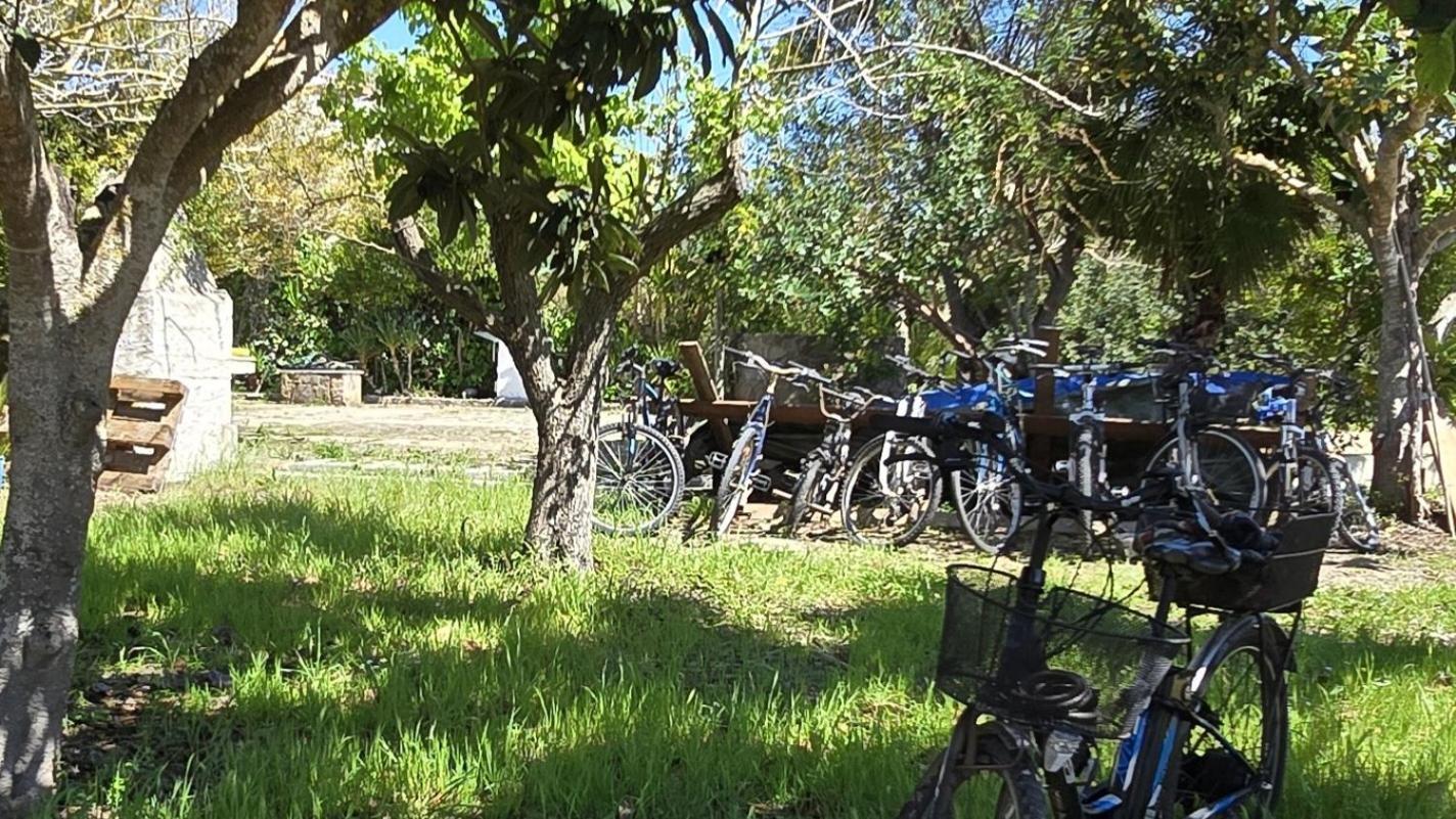 In Bicicletta